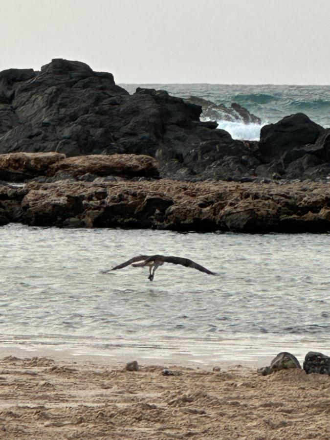 B&B Mi Ma Bo, Sal Rei, Boa Vista, Cape Verde, Free Wi-Fi Екстериор снимка