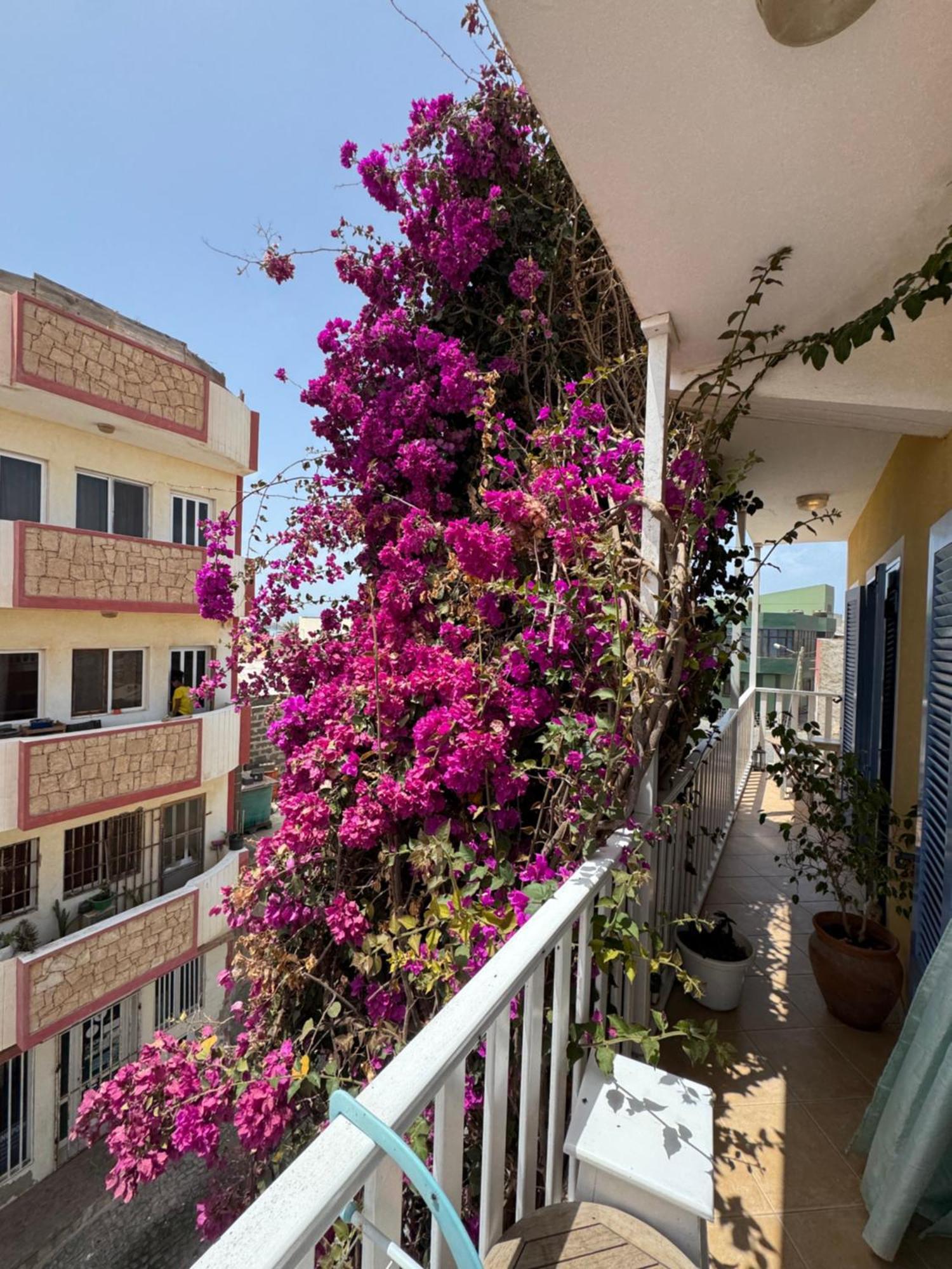 B&B Mi Ma Bo, Sal Rei, Boa Vista, Cape Verde, Free Wi-Fi Екстериор снимка